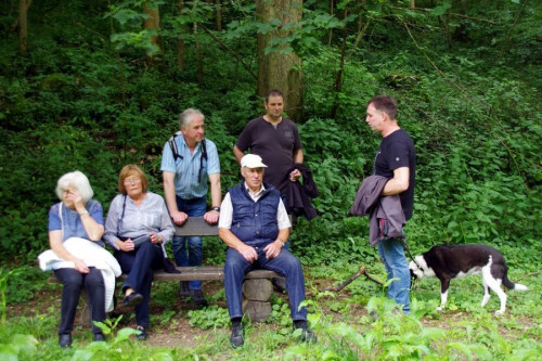 koenigstreffen 2017